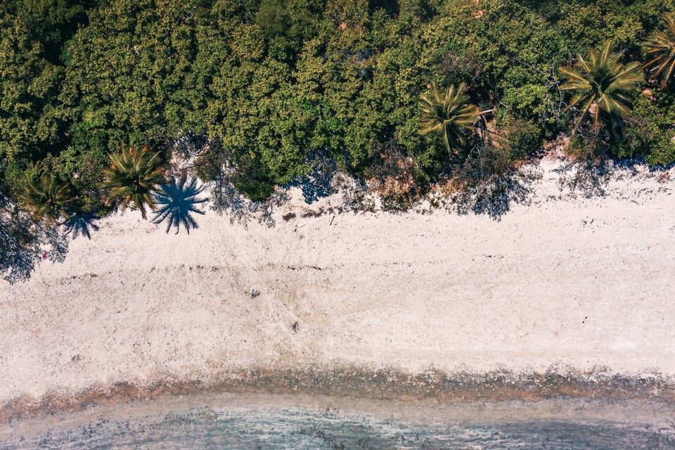 Rajska plaża z białym piaskiem i turkusową wodą, otoczona bujną zielenią palm.