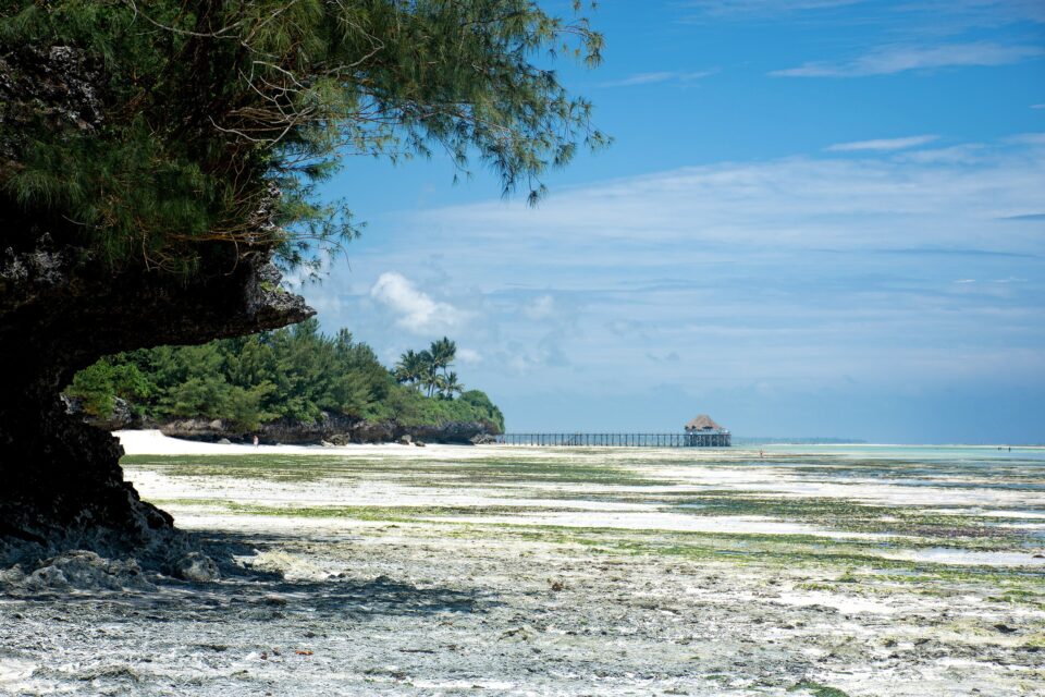 Plaża na Zanzibarze