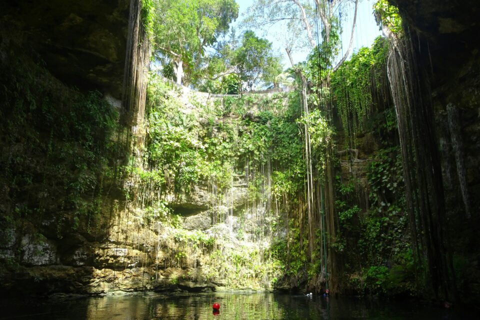 Cenote otoczone bujną roślinnością z krystalicznie czystą wodą w idyllicznej scenerii.