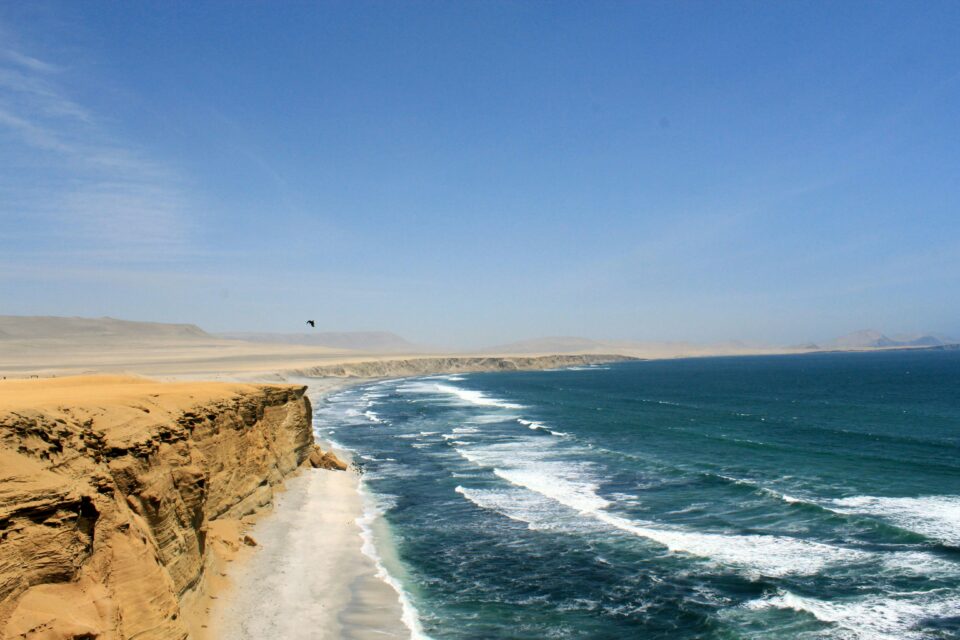 Wybrzeże w Paracas