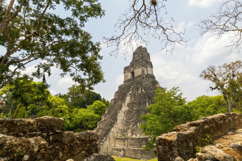 Ruiny Tikal w Gwatemali