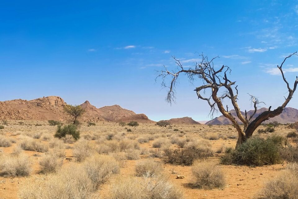 Pustynny krajobraz Namibii