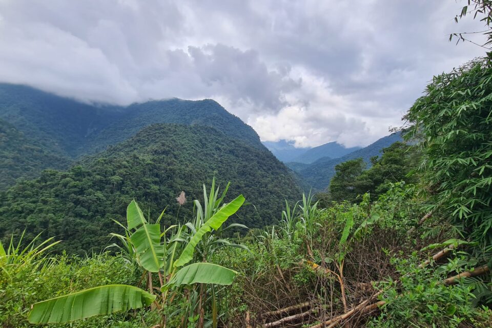 Panorama podczas trekkingu do Ciudad Perdida - Zaginionego Miasta