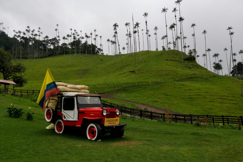 Dolina Cocora obok Salento