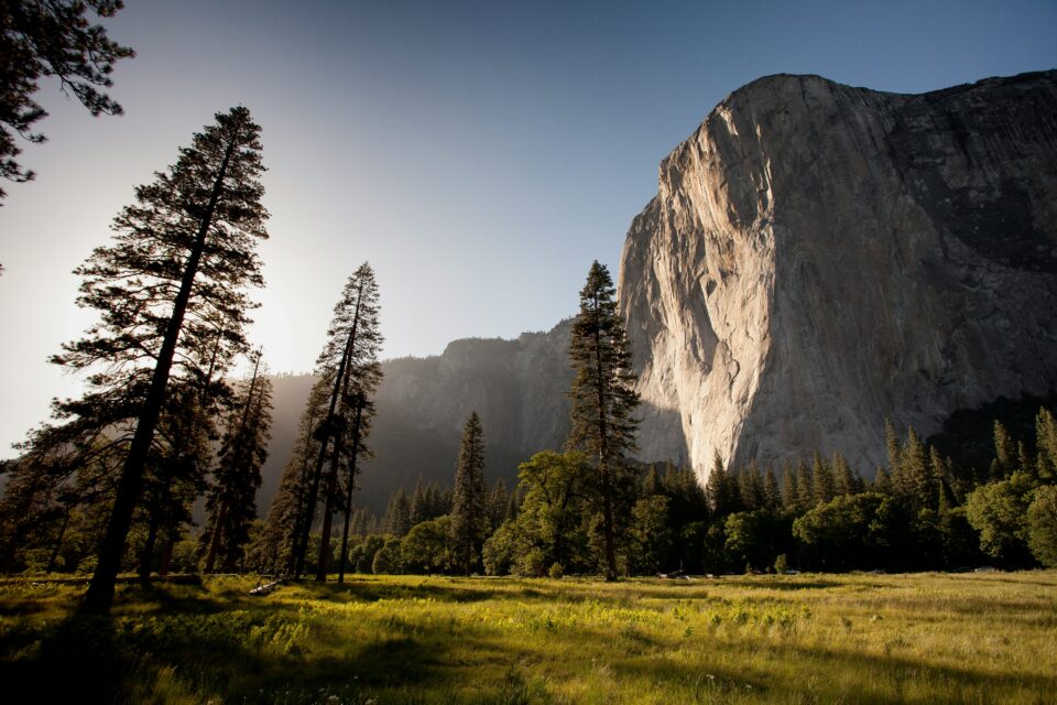 Ściana El Capitan w Parku Yosemite