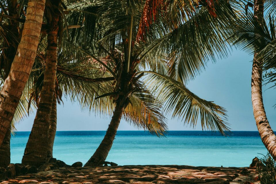 Madagaskarska plaża