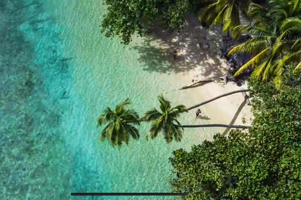 Tropikalna plaża z palmami, białym piaskiem i turkusową wodą – idealne na wypoczynek.