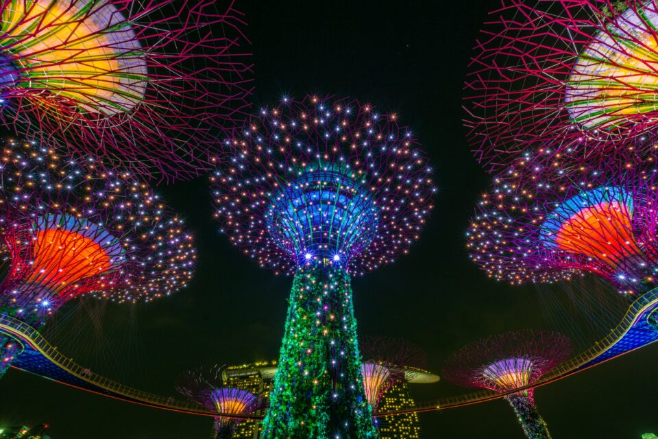 Magiczne Supertree Grove w Singapurze