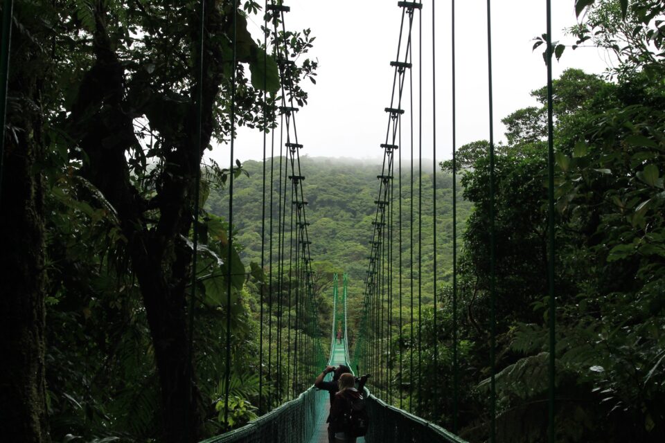 Wiszacy most Monteverde